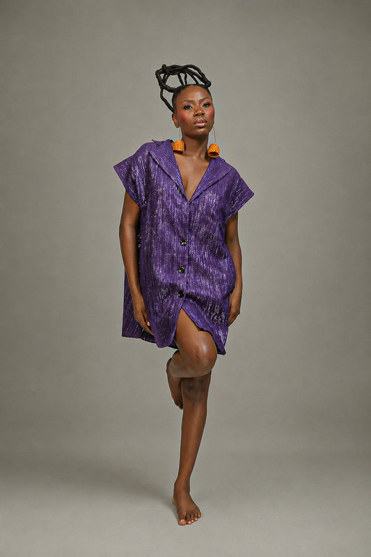 Dalu Blazer Dress